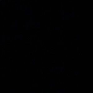 Meet your Posher, Trinity